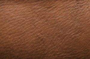 Distressed Leather Conditioner